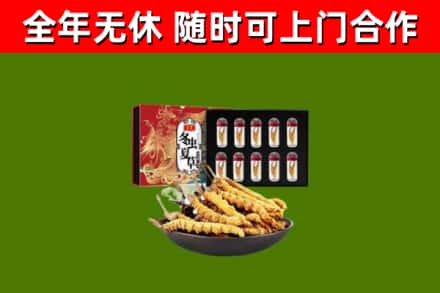湘潭县回收冬虫夏草价格